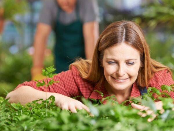 Domowa hodowla roślin: jak założyć własny ogródek